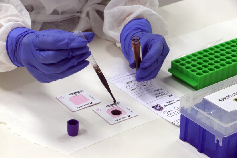 whatsapp_image_2026-03-30_at_15.56.32