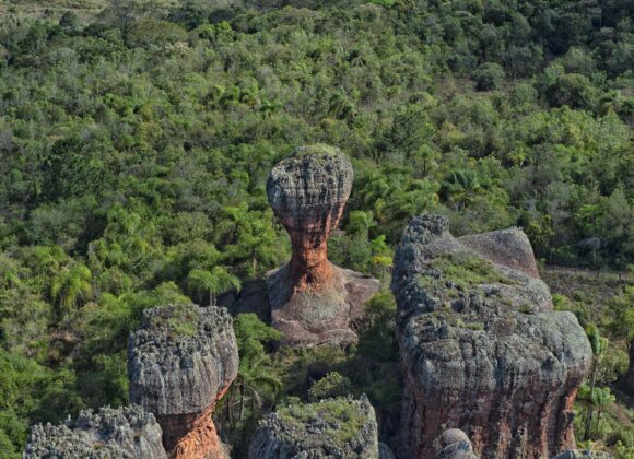 Foto: Denis Ferreira Netto/SEDEST