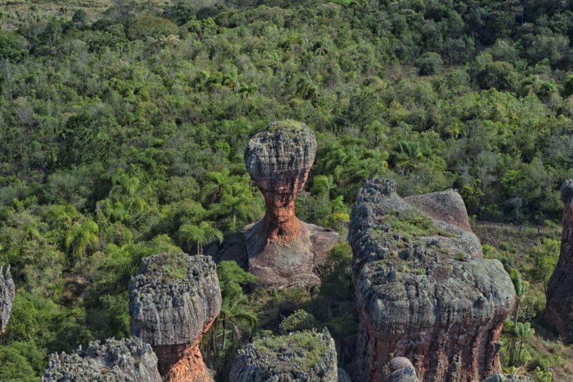 Foto: Denis Ferreira Netto/SEDEST