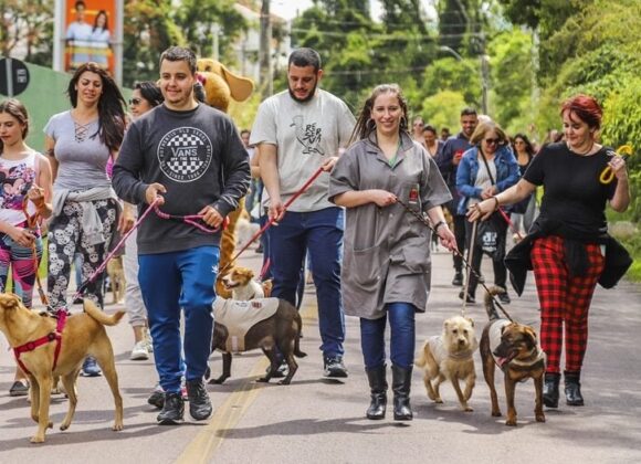 Cãominhada em Curitiba
