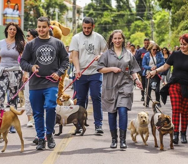 Cãominhada em Curitiba