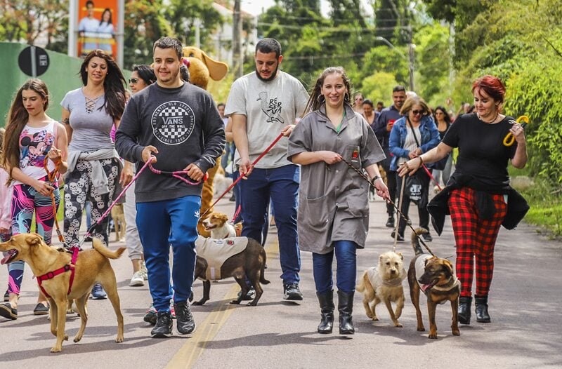 Cãominhada em Curitiba