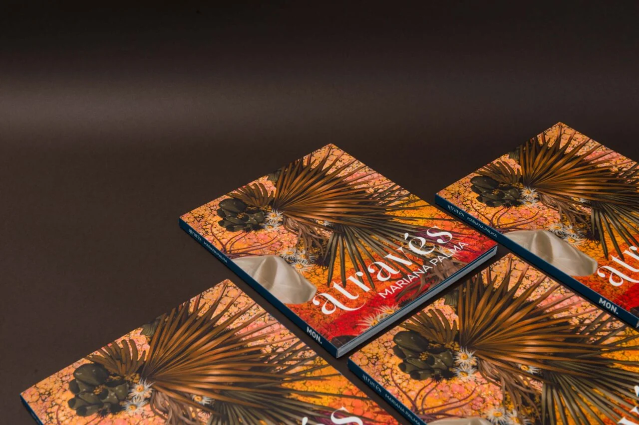 MON lança novos catálogos de exposições em Curitiba catálogos de exposições do MON